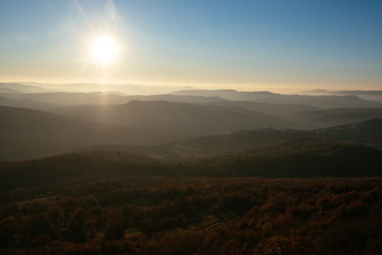 Predstavljanje svijetu